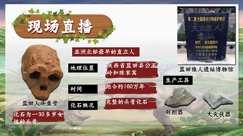 部编版初中历史课件新教材七上第1课远古时期的人类活动第8页