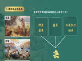 部編版初中歷史課件新教材 七年級上冊第2課原始農(nóng)業(yè)與史前社會