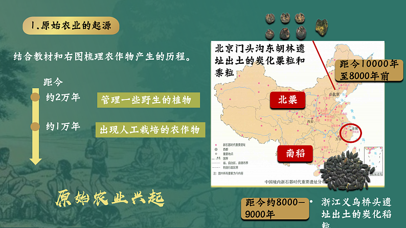 部编版初中历史课件新教材24版七年级上册第2课原始农业与史前社会第6页