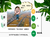 部編版課件八下第3課土地改革