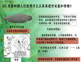 部编版课件七上第2课原始农耕生活