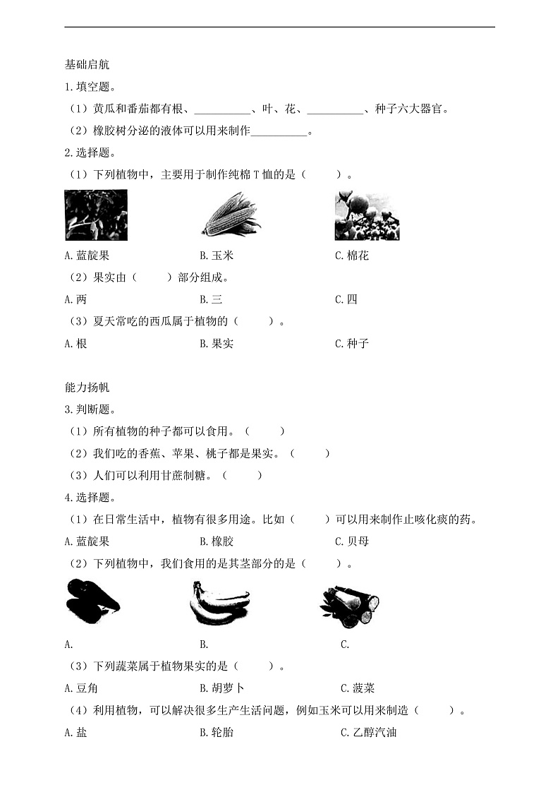 【核心素养】苏教版（2017）科学三下 1.4《植物结果了》分层练习（含答案）第3页