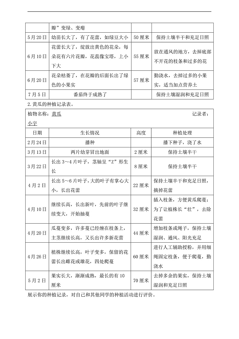 【核心素养】苏教版（2017）科学三下 1.4《植物结果了》教案第2页