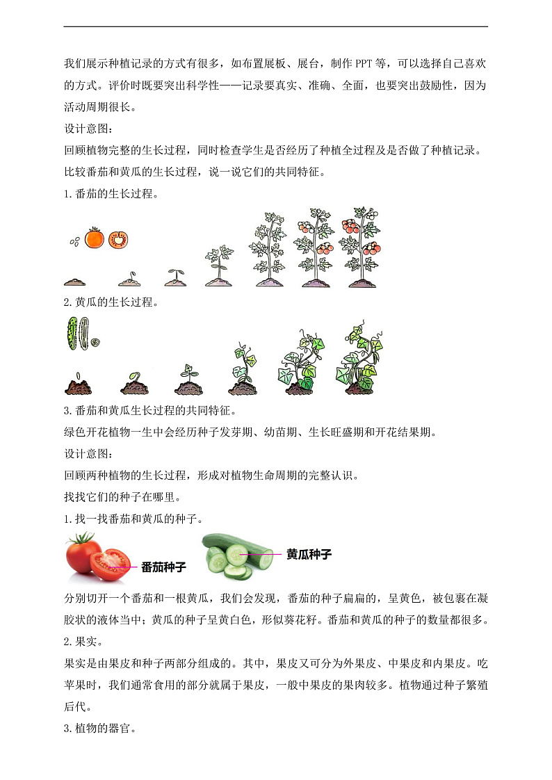 【核心素养】苏教版（2017）科学三下 1.4《植物结果了》教案第3页