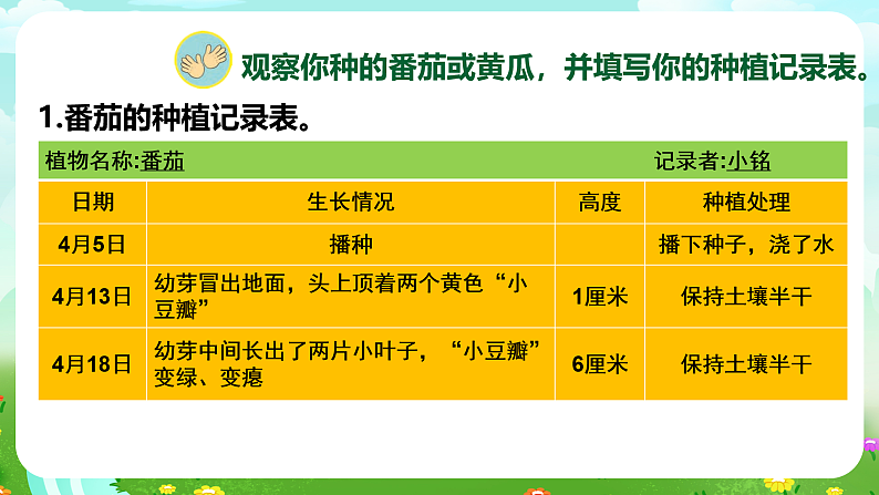 【核心素养】苏教版（2017）科学三下 1.4《植物结果了》课件第5页