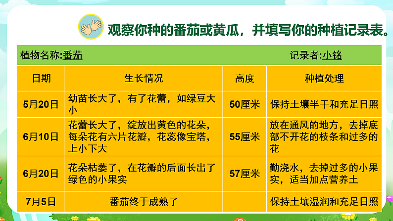 【核心素养】苏教版（2017）科学三下 1.4《植物结果了》课件第6页