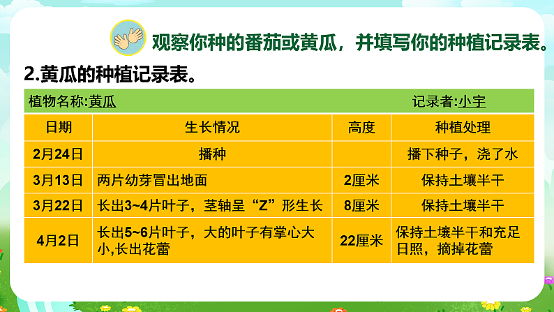 【核心素养】苏教版（2017）科学三下 1.4《植物结果了》课件第7页