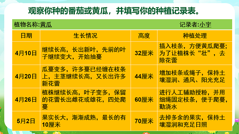【核心素养】苏教版（2017）科学三下 1.4《植物结果了》课件第8页