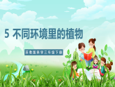 【核心素养】苏教版（2017）科学三下 2.5《不同环境里的植物》课件+教案+分层练习+素材