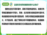 【核心素养】苏教版（2017）科学三下 2.5《不同环境里的植物》课件+教案+分层练习+素材