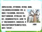 【核心素养】苏教版（2017）科学三下 2.5《不同环境里的植物》课件+教案+分层练习+素材