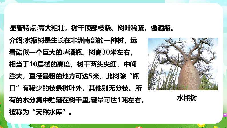 【核心素养】苏教版（2017）科学三下 2.5《不同环境里的植物》课件第5页