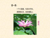 人教版（2024）美術一上第11課《花兒寄深情》名師課件（2019部級）