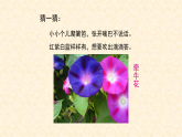 人教版（2024）美術一上第11課《花兒寄深情》名師課件（2019部級）