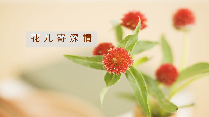 人教版（2024）美术一上第11课《花儿寄深情》名师课件（2019部级）第3页