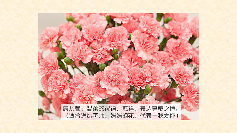 人教版（2024）美术一上第11课《花儿寄深情》名师课件（2019部级）第8页