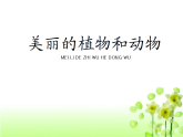 人教版（2024）美術(shù)一上第20課《美麗的植物和動物》教學(xué)課件2