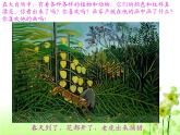 人教版（2024）美術(shù)一上第20課《美麗的植物和動物》教學(xué)課件2