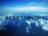 人教版（2024）美術(shù)一上第9課《我在空中飛》名師課件