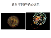 人教版（2024）美術(shù)一上第5課《五彩的煙花》參考課件