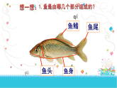 人教版（2024）美術(shù)一上第8課《魚兒游游》名師課件
