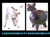 人美版（2024）美術(shù)二上第17課《動物樂園》教學(xué)課件