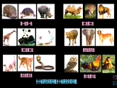 人美版（2024）美術(shù)二上第17課《動物樂園》教學(xué)課件