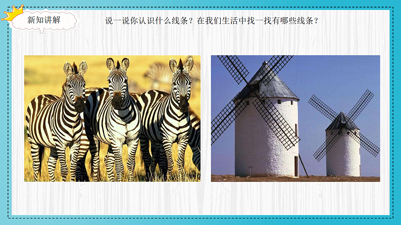 16504020第2页