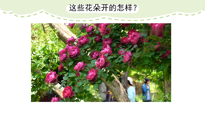 人美版（2024）美术二上第14课《茂密的花》精品课件 1第1页