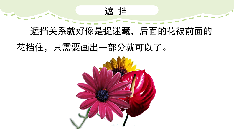 人美版（2024）美术二上第14课《茂密的花》精品课件 1第7页