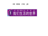 2024教科版科学二年级上册第二单元材料1我们生活的世界教学课件