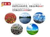 2024教科版科学二年级上册第二单元材料1我们生活的世界教学课件