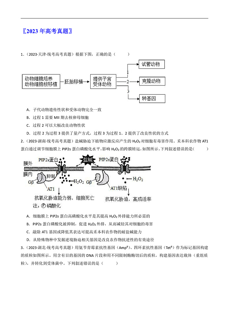 专题25 基因工程（原卷卷）第2页