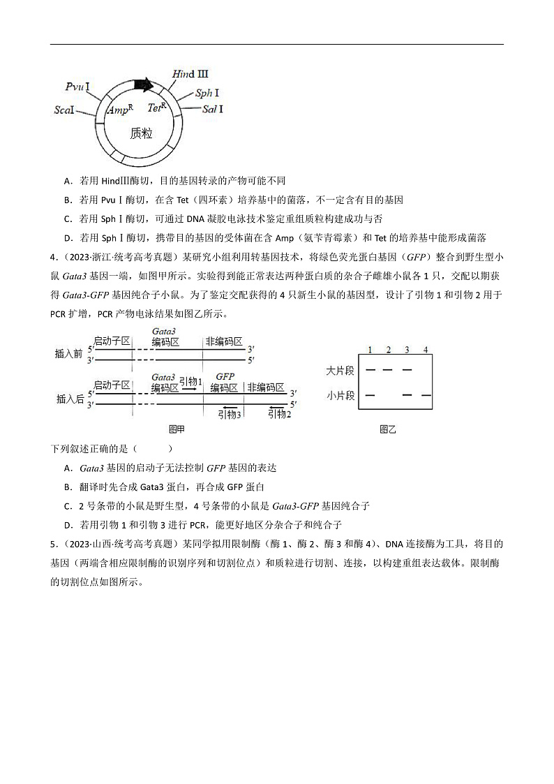 专题25 基因工程（原卷卷）第3页