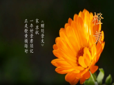 【大单元教学】人美版七年级上册美术第2单元第3课《诗意的色彩》课件