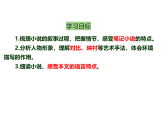 人教部编版（2024）九年级语文下册7溜索ppt课件