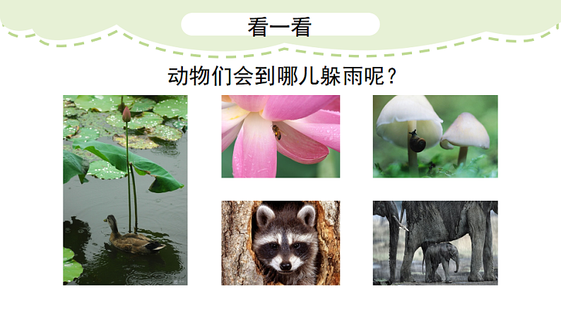 人美版（2024）美术二上第6课《下雨了》精品课件 3第8页