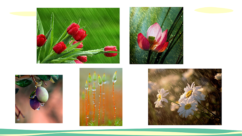 人美版（2024）美术二上第6课《下雨了》精品课件2第7页