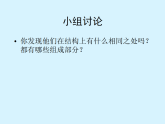 人美版（2024）美術(shù)六上第8課《參觀券的設(shè)計(jì)》教學(xué)課件