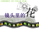 人美版（2024）美術(shù)六上第11課《鏡頭里的花》精品課件