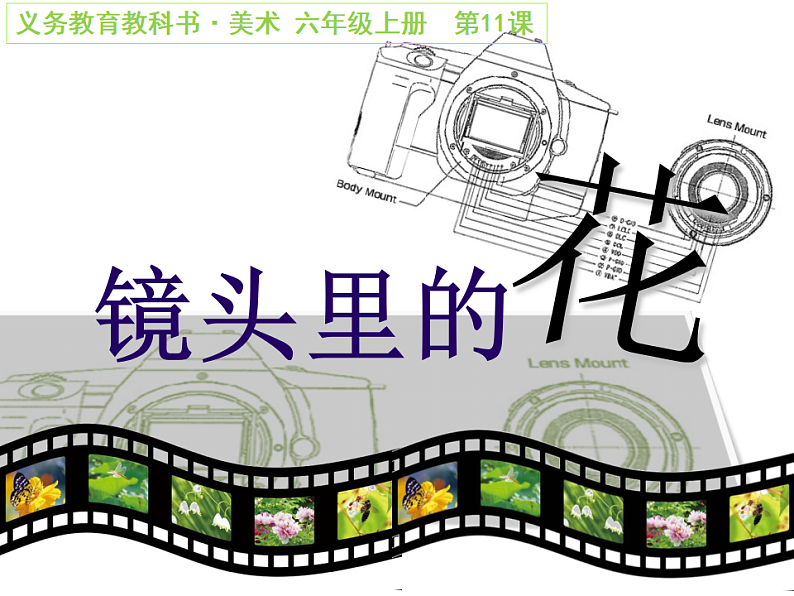 人美版（2024）美术六上第11课《镜头里的花》精品课件第1页