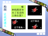 人美版（2024）美術(shù)六上第11課《鏡頭里的花》精品課件