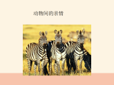 人美版（2024）美術(shù)六上第5課《親親密密一家子》教學(xué)課件