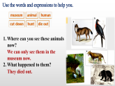 Unit 5 Fantastic friends Developing ideas (Read for writing)（課件） 2024-2025學年外研版（2024）英語七年級上冊