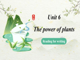 Unit 6 The power of plants Developing ideas(Reading for writing)（課件） 2024-2025學(xué)年外研版（2024）英語(yǔ)七年級(jí)上冊(cè)