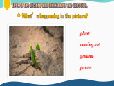 Unit 6 The power of plants Starting out（課件） 2024-2025學(xué)年外研版（2024）英語(yǔ)七年級(jí)上冊(cè)