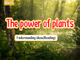Unit 6 The power of plants Understanding ideas(Reading)（課件） 2024-2025學(xué)年外研版（2024）英語(yǔ)七年級(jí)上冊(cè)