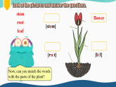 Unit 6 The power of plants Understanding ideas(Reading)（課件） 2024-2025學(xué)年外研版（2024）英語(yǔ)七年級(jí)上冊(cè)