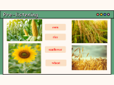 主題情境2024年新教材課件  Unit 6 The power of plants Developing Ideas Listening&speaking(含音視頻）外研版七上