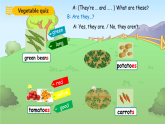 人教PEP英語四下 Unit4 At the farm B let's talk 課件+單元教案+素材